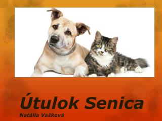 Útulok Senica Natália Vašková