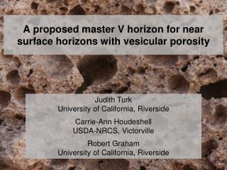 A proposed master V horizon for near surface horizons with vesicular porosity