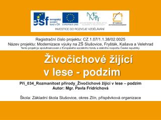 Živočichové žijící v lese - podzim