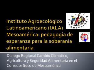 Marcos conceptuales