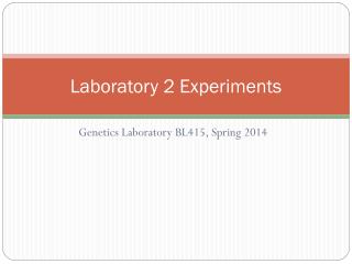Laboratory 2 Experiments