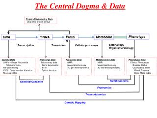 The Central Dogma &amp; Data