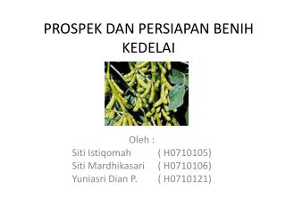 PROSPEK DAN PERSIAPAN BENIH KEDELAI
