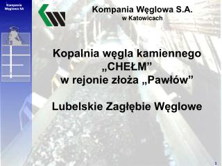 Kopalnia węgla kamiennego „CHEŁM” w rejonie złoża „Pawłów” Lubelskie Zagłębie Węglowe