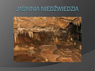 Jaskinia Niedźwiedzia