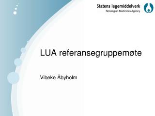 LUA referansegruppemøte