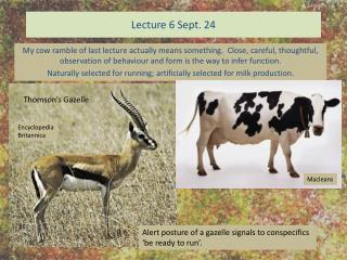 Lecture 6 Sept. 24