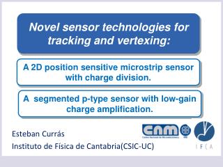 Esteban Currás Instituto de Física de Cantabria(CSIC- UC )