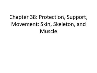 Chapter 38: Protection, Support, Movement: Skin, Skeleton, and Muscle