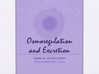 Osmoregulation and Excretion