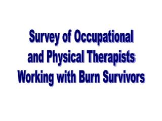 Survey of Occupational and Physical Therapists Working with Burn Survivors