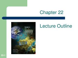 Chapter 22 Lecture Outline