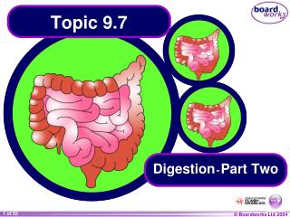 Topic 9.7