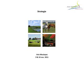 Strategie