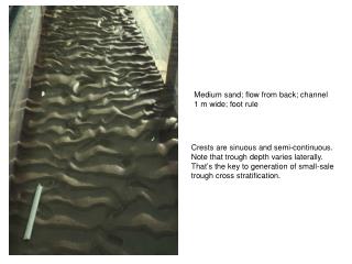 Medium sand; flow from back; channel 1 m wide; foot rule