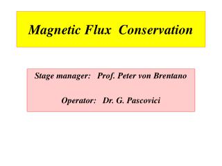 Magnetic Flux Conservation