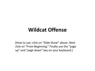 Wildcat Offense