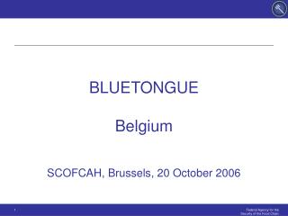 BLUETONGUE Belgium SCOFCAH, Brussels, 20 October 2006