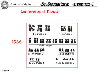 Conferenza di Denver