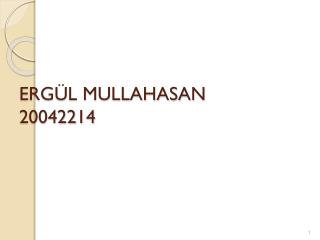 ERGÜL MULLAHASAN 20042214