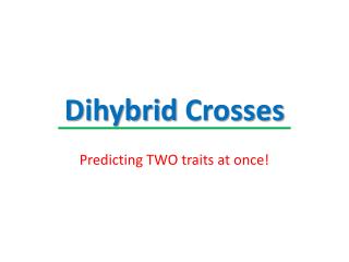 Dihybrid Crosses