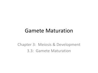 Gamete Maturation