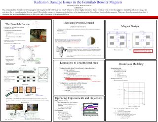 Radiation Damage Issues in the Fermilab Booster Magnets