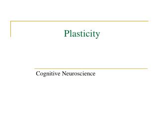 Plasticity