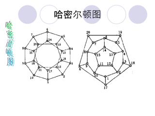 哈密尔顿图