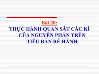 Bài 20: THỰC HÀNH QUAN SÁT CÁC KÌ CỦA NGUYÊN PHÂN TRÊN TIÊU BẢN RỄ HÀNH