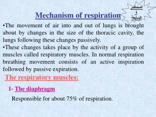 Mechanism of respiration