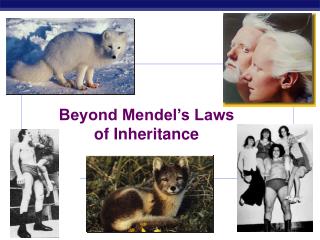 Beyond Mendel’s Laws of Inheritance