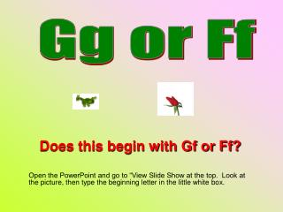 Gg or Ff
