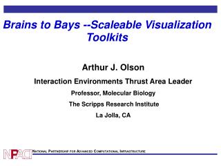 Brains to Bays --Scaleable Visualization Toolkits