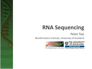 RNA Sequencing