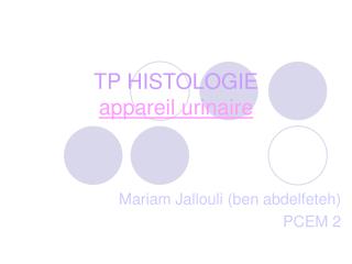 TP HISTOLOGIE appareil urinaire