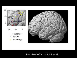 Bookheimer 2003 Annual Rev. Neurosci.