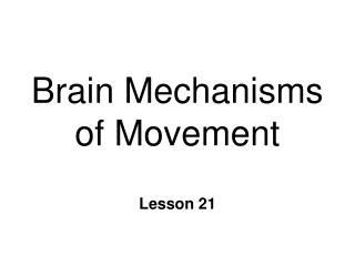 Brain Mechanisms of Movement