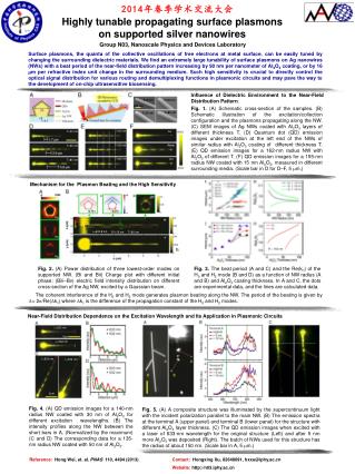 Highly tunable propagating surface plasmons on supported silver nanowires