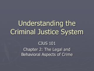 Understanding the Criminal Justice System