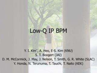 Low-Q IP BPM