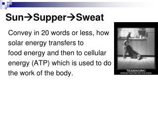 Sun SupperSweat