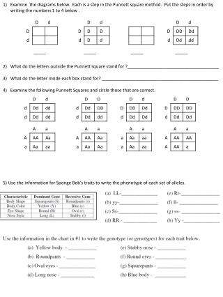 What do the letters outside the Punnett square stand for ?_____________________________________