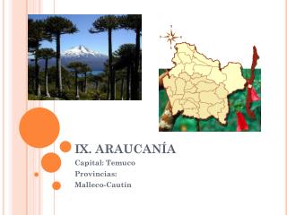 IX. ARAUCANÍA