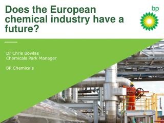 Does the European chemical i ndustry h ave a future?