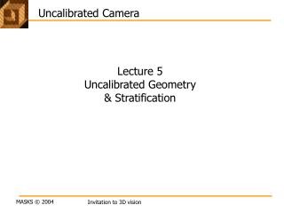 Uncalibrated Camera