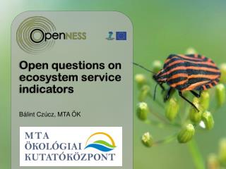 Ope n questions on ecosystem service indicator s