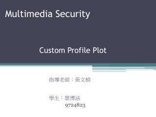 Multimedia Security