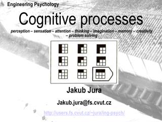 Cognitive processes