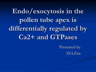 Endo/exocytosis in the pollen tube apex is differentially regulated by Ca2+ and GTPases